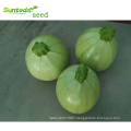 Round light green vegetable cucurbita pepo hybrid summer squash seeds